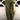 Tropical Green Sunny Zigzag High-Waisted Trousers