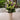 Daisy vase