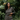 sustainable workout clothes for women, fair trade workout clothes, athletic wear sustainable, eco friendly workout gear, most sustainable activewear brands, sustainable gym gear, womens ethical activewear, responsible clothing, sustainable summer dresses, ethical clothing companies, eco friendly fashion, earth friendly clothing, green fashion, fast fashion sustainability