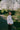 A woman is standing on a path in a green park surrounded by nature. She is turned to the side looking over her shoulder with her hand in her trouser pocket. She wears Saywood's Amelia Wide Leg Culotte Trousers in khaki, with the white recycled cotton Lela Boxy Shirt. Her hair is plaited in pigtails and she has a green cross body bag across her.