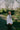 A woman is standing on a path in a green park surrounded by nature. She is turned to the side looking over her shoulder, smiling, with her hand in her trouser pocket. She wears Saywood's white recycled cotton Lela Boxy Shirt with the khaki Amelia Wide Leg Trousers. Her hair is plaited in pigtails and she has a green cross body bag across her.