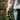 Close up of the arm and body of a woman standing in front of a brick wall, holding a bunch of eucalyptuses. She is wearing rings on her fingers, and jeans, worn with Saywood's white recycled cotton Marie A-line Gathered Neck blouse. the sleeve detail of the gathered cuff and frill with lace trim can be seen. Dappled light and leafy shadows are seen on the blouse.