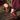 Charli: Burgundy Suede Trainers