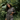 fair trade clothing, eco clothing, sustainable plus size clothing, cheap sustainable clothing, ethical fashion, conscious clothing, environmentally friendly clothing, affordable ethical clothing, ethical dresses, eco fashion, ethical women's clothing, cheap ethical clothing, sustainable clothing companies