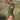 Women’s One-Piece Training Swimsuit – Double Strap