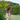 everyday white linen summer dress